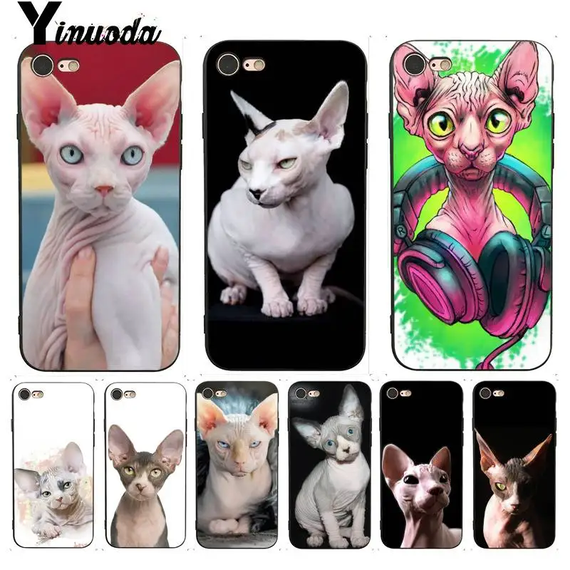 Чехол для iphone 13 7 6 X чехол с татуировкой сфинкса кошка привлекательные аксессуары