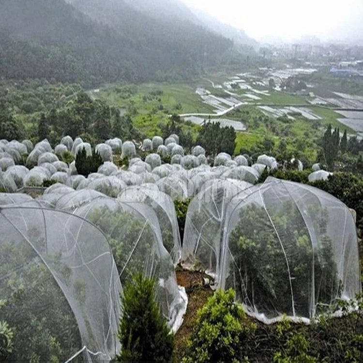 Pest Control For Fruit Tree Greenhouse 40Mesh Insect Netting Garden Vegetables Protection Cockroach Mosquito PE Nylon Net