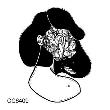 CC6409 Rocooart CC6 6X6 см маленькая винтажная Старая школа Стиль пистолет Девушки Женщины Черный Белый лицо временная татуировка наклейка боди-арт поддельные татуировки - Цвет: CC6409