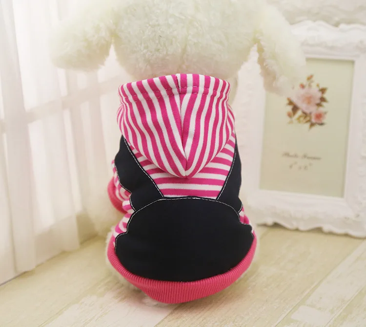 Осень и зима Одежда с принтом в виде собак золотистый ретривер большой Сацума