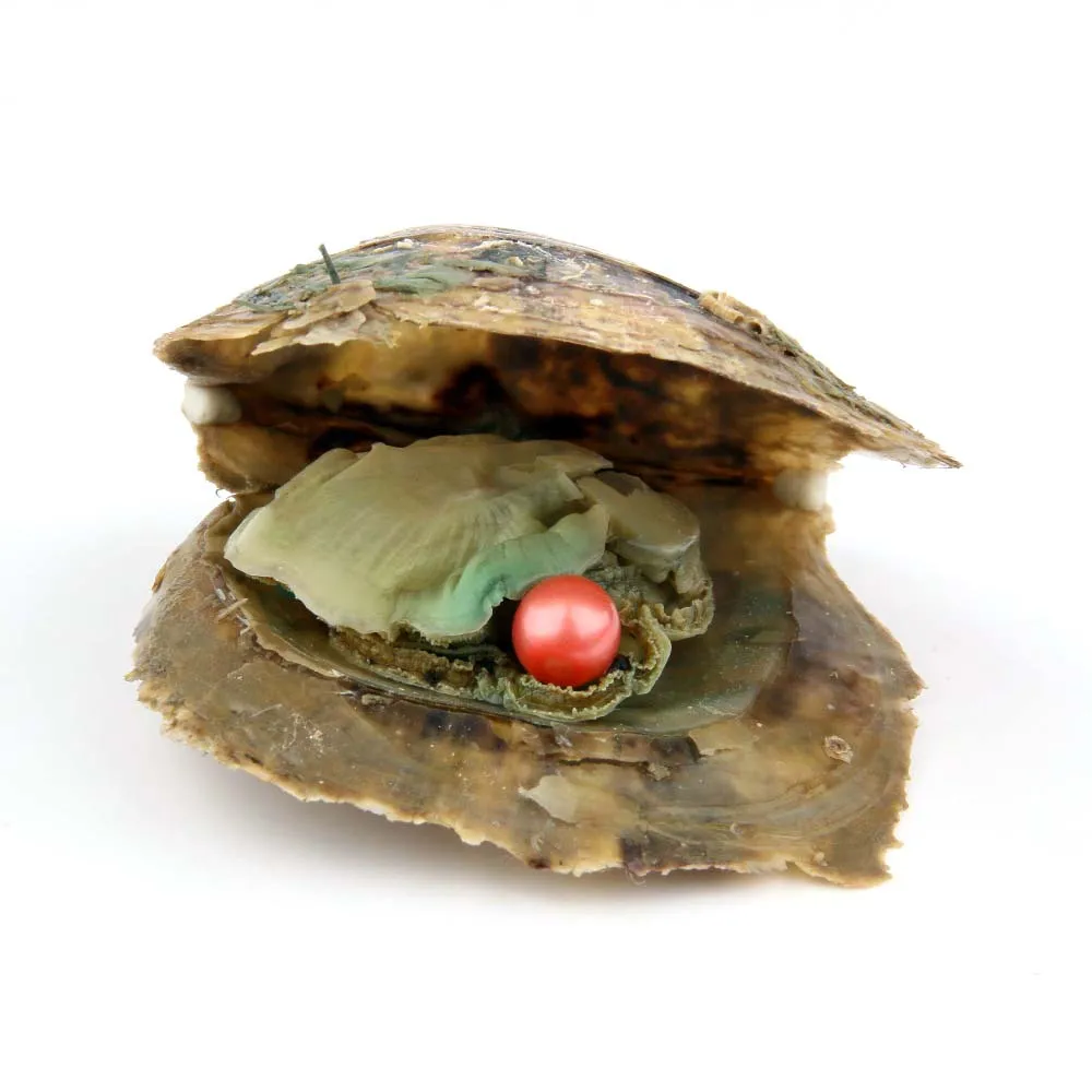 Жемчужные Oyster Akoya с искусственным жемчугом в виде сердца круглыми жемчужинами 7 8