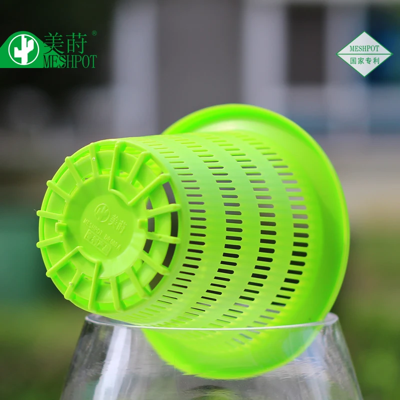 Amaryllis Нарцисса гидропоники посадка корзины растение из смолы коробка для