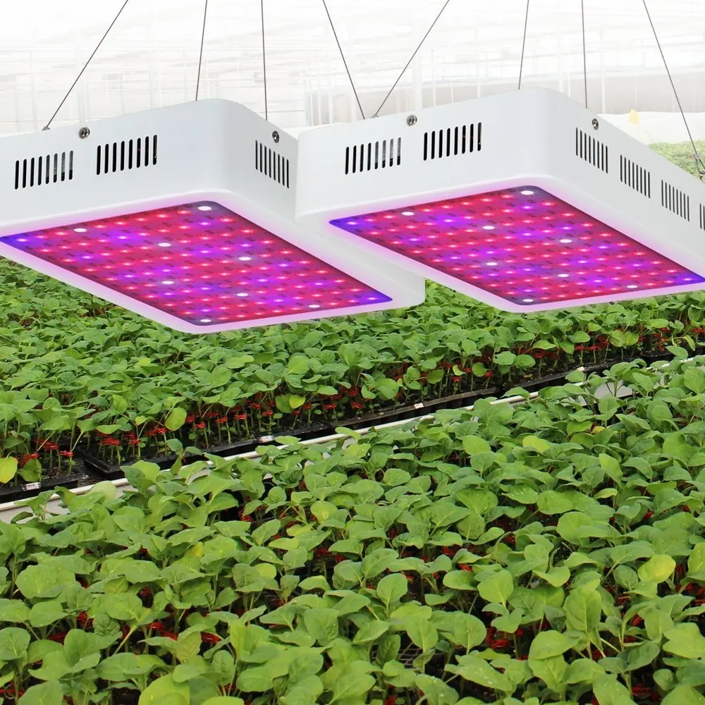 Полный спектр 1000W LED Grow Light для комнатных теплиц Tent растения Led Light|Промышленные