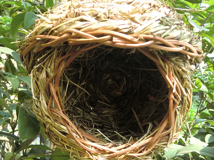 Кормушка для птиц из ротанга декоративная клетка попугаев|cage decor|cage bird decorcaged feeders |