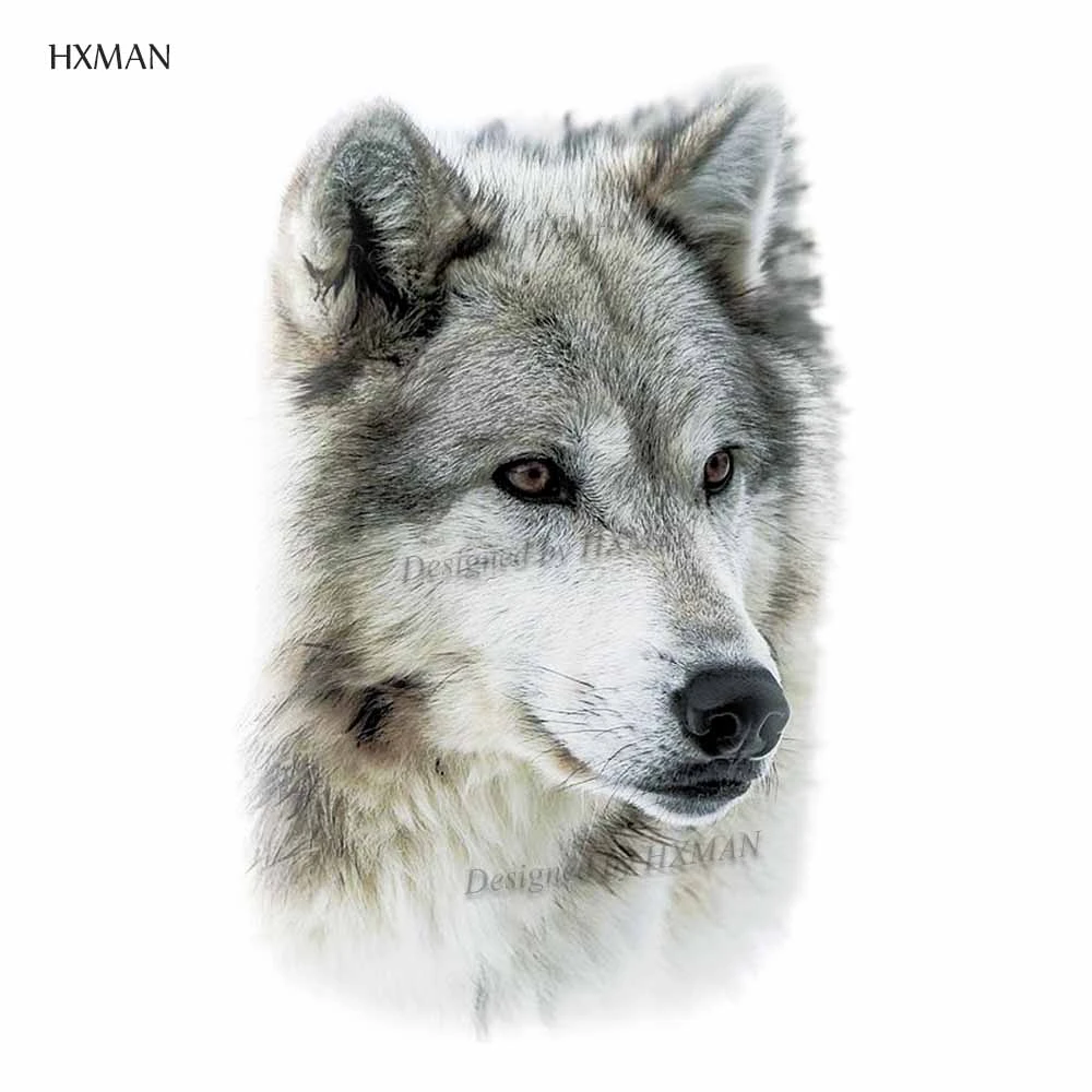 HXMAN 12 шт./партия временная татуировка волка наклейка для женщин и мужчин модный