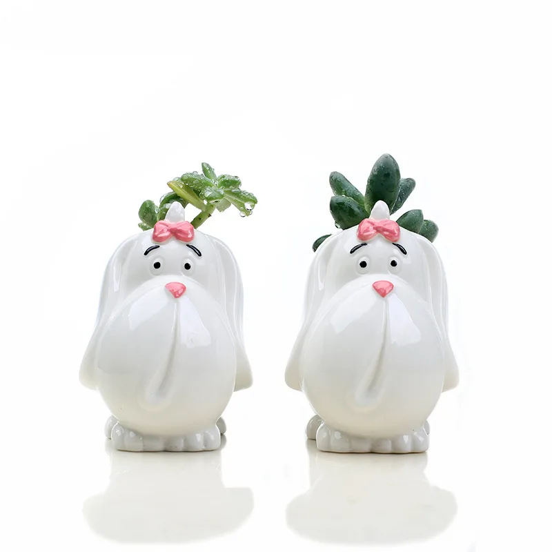 Succulent Plant Pot Cute Animal Flower Planter Cartoon Flowerpot Create Design Lovely Home Garden Bonsai Pots | Дом и сад