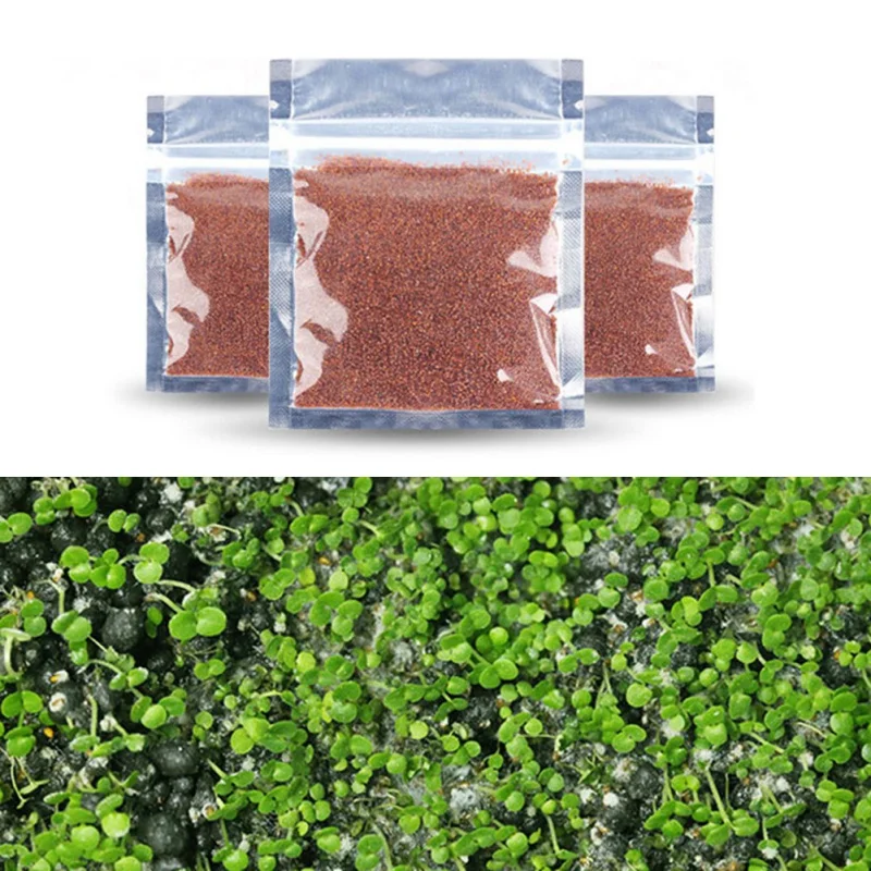 Аквариумные семена Hemianthus Callitrichoides, трава для воды, мини-лист, живое растение, украшение для аквариума, ландшафтный орнамент
