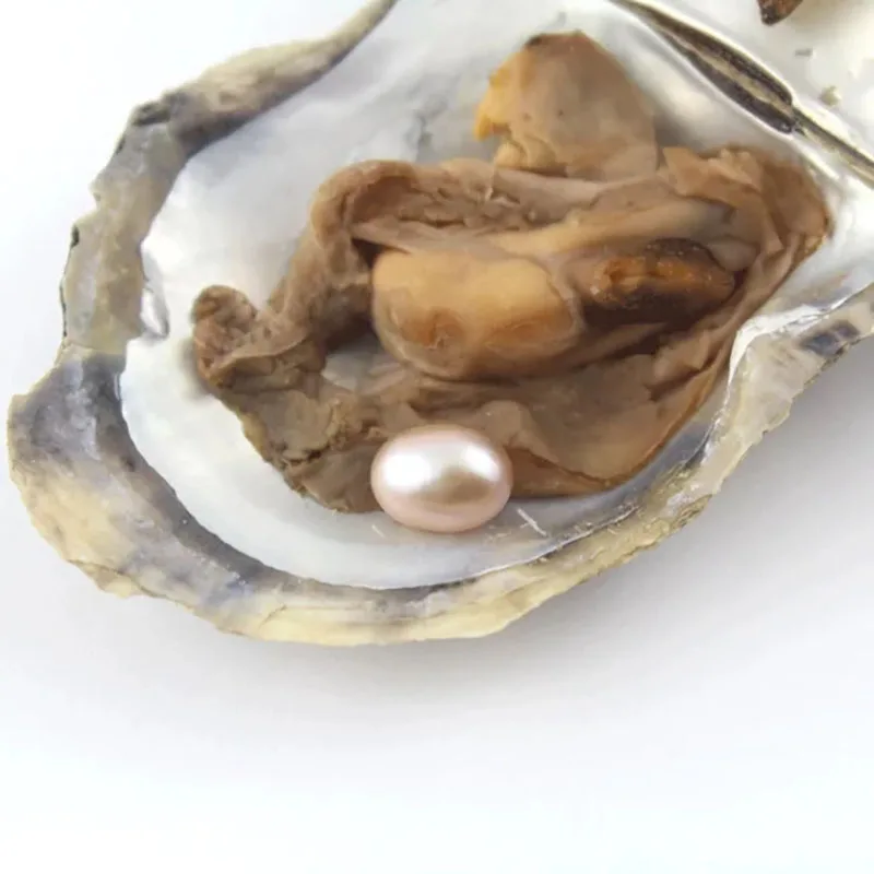 Выгодное предложение 6-8 мм Овальный Форма Жемчуг культивированный Oyster с одной жемчужиной внутри(10 шт./упак