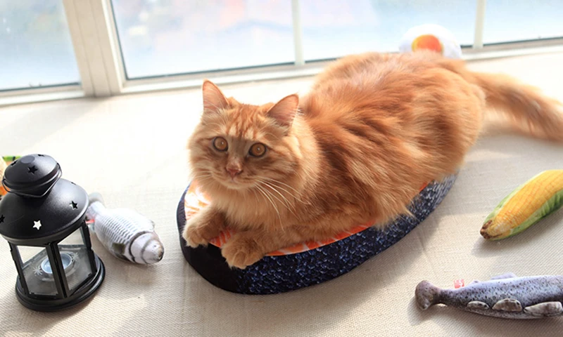 [MPK] Подушка для кошек из морепродуктов забавная кровать игрушка | Дом и сад