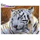 Алмазная живопись с изображением белого тигра из сериала Стразы 3F462