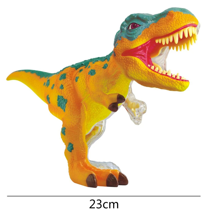 

4D Master Dinosaur Anatomical Assembly Model Q Edition Tyrannosaurus Triceratopterosaur Great White Shark Simulated Animal Toy