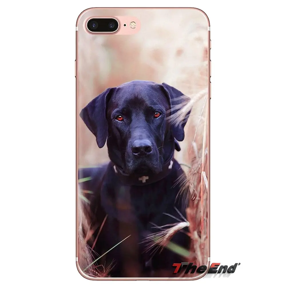 Прозрачные мягкие чехлы для iPod Touch Apple iPhone 4 4S 5 5S SE 5C 6 6S 7 8 X XR XS Plus MAX Rhodesian Ridgeback Dog |