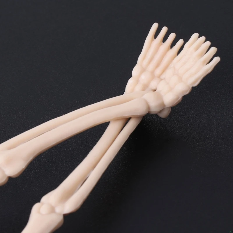

HBB Skeleton Human Model Skull Full Body Mini Figure Toy Phone Hanger Halloween