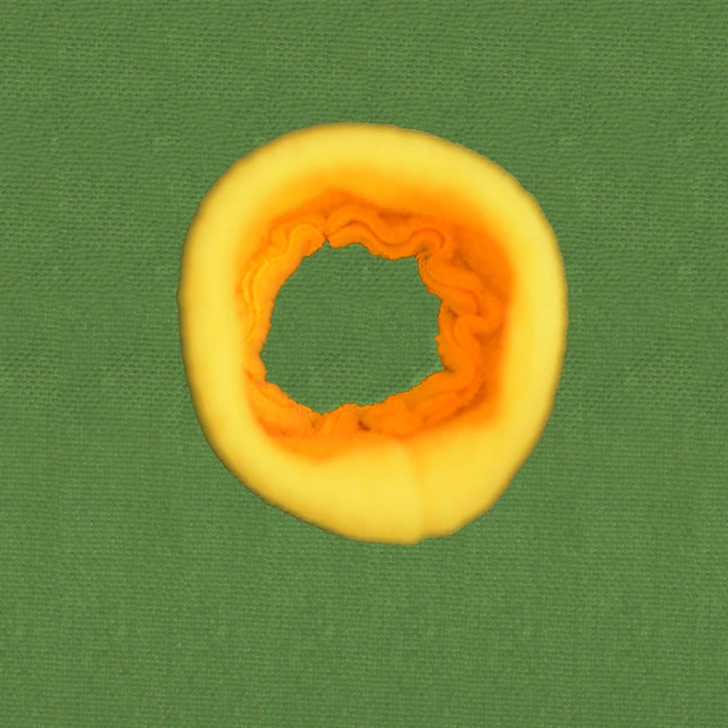 Коврик для обнюхивания коврик собаки найти еду тренировочное одеяло игровые