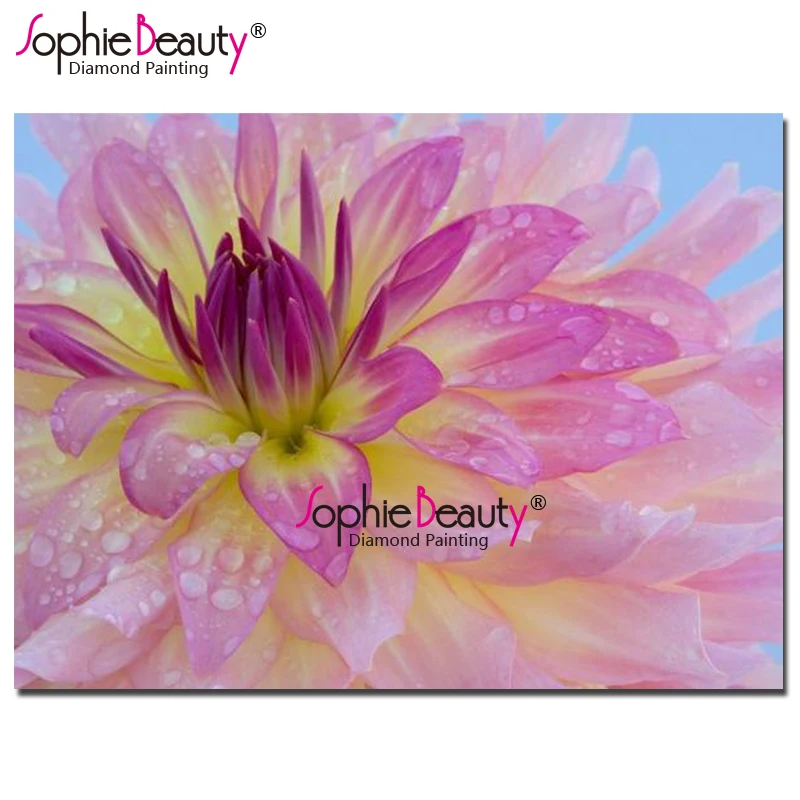 

Sophie Beauty Diy diamond embroidery full rhinestones mosaic kit cross stitch beautiful flower diamond painting home decor 19007