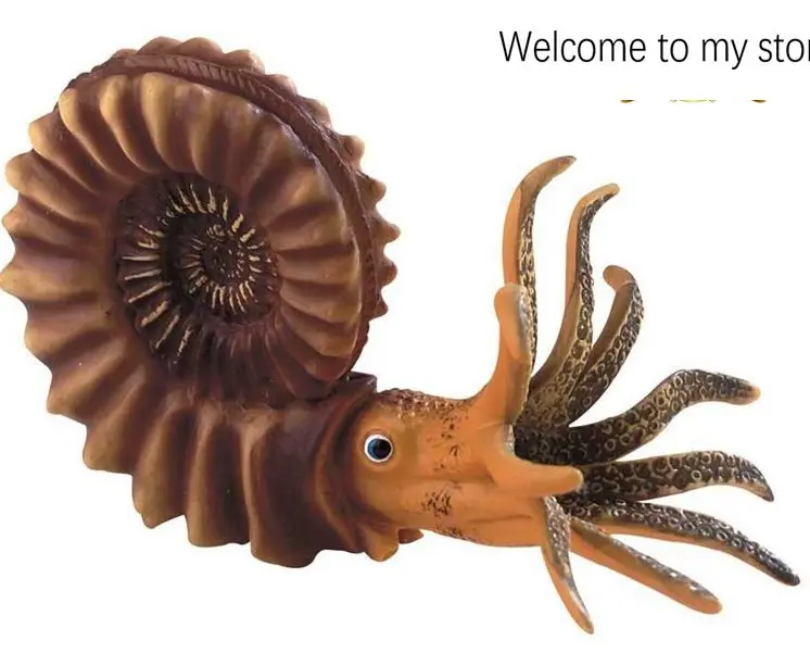 

pvc figure MODEL Ammonite Nautilus Ancient Creature Model