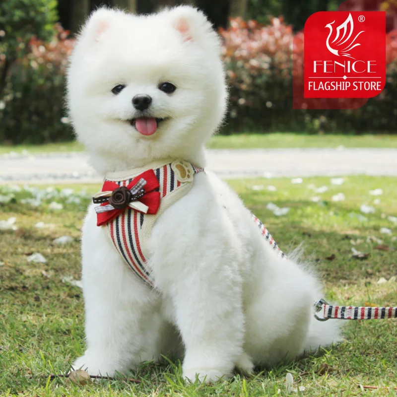 Fenice Pet 2019 нейлоновый рандомный ошейник K9 мягкий очень большой средний маленький