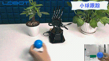 LOBOT uHand2.0 Raspberry 3B+ программируемое распознавание цвета лица ПК/ручка управления RC рука робота и 480P камера