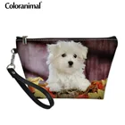 Косметичка и чехол Coloranimal, дорожная сумка для мытья, шкатулка для макияжа с изображением мальтийских собак, роскошный брендовый дизайн, для организации туалетных принадлежностей