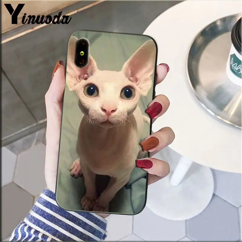 Yinuoda тату Сфинкс Кот искусство клиента высокое качество телефонный чехол для iPhone