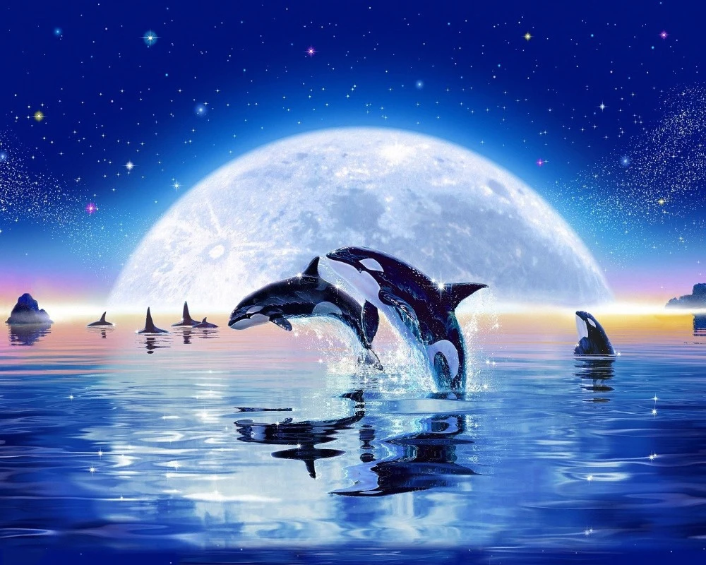 

Diy diamond drawing animal diamond cross stitch crystal round/square diamond sets decorative full diamond embroidery dolphin