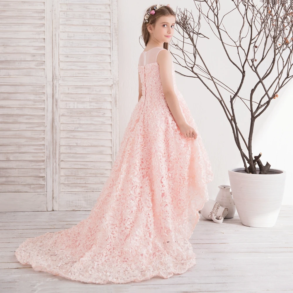 SSYFashion/новые милые розовые кружевные платья с цветочным узором для девочек на