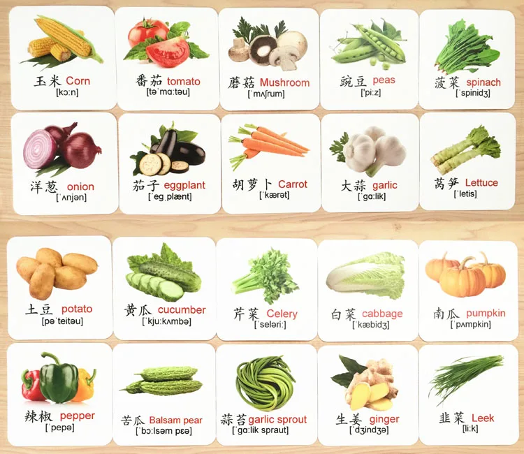 Растительные водонепроницаемые флэш карты алфавита Карманные детские
