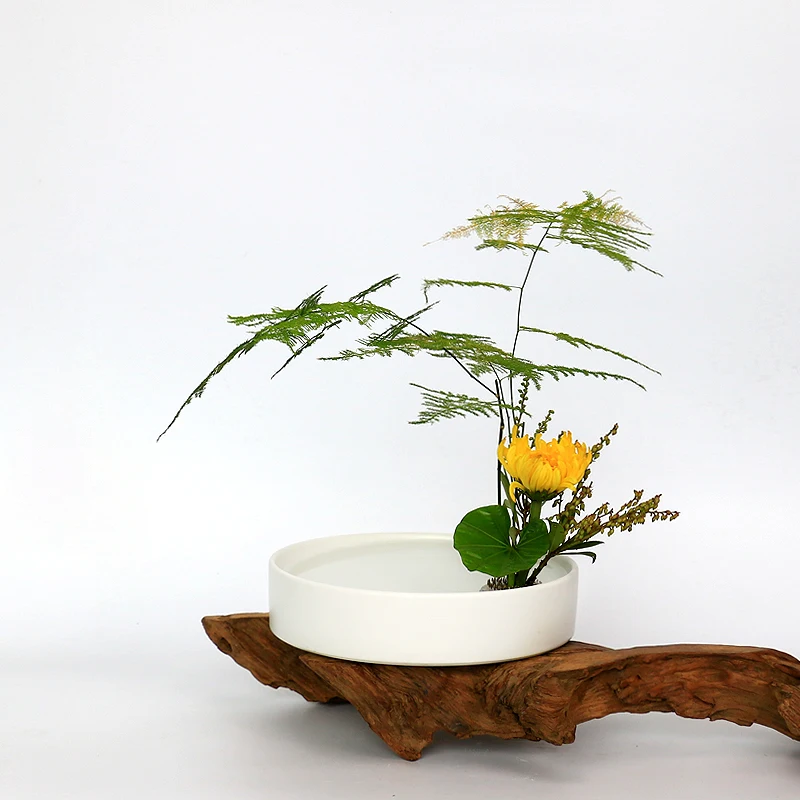 Японские цветы Ikebana гидропоники цветочный горшок настольные вазы керамические