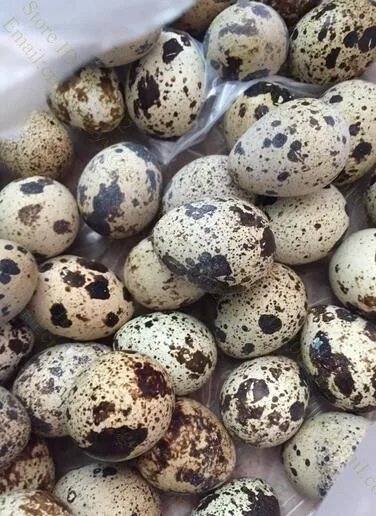 Ручная бытовая машина для шелушения яиц и перепелов шелушильная машина|shell