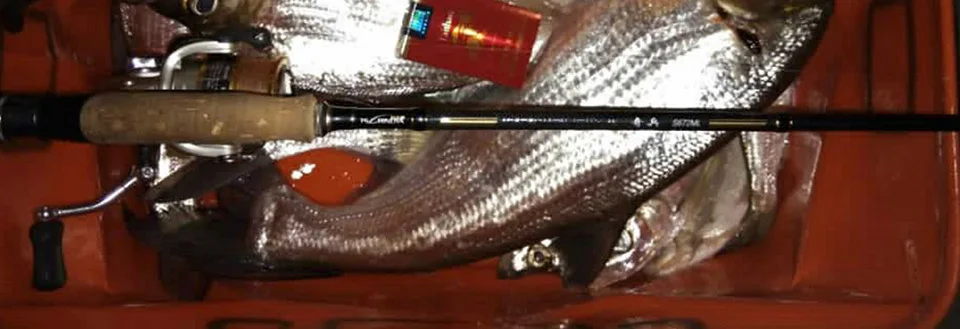 TSURINOYA PROFLEX II 2.01 м 2.13 м спиннинг Рыбалки 2 сегмента ML/M Мощность Удочка из Углерода Рыболовные Снансти Спининг литья