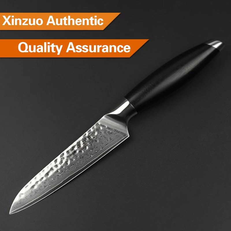 XINZUO из 2 предметов Кухня Ножи комплект Дамаск Сталь шеф повар ножи японский VG10