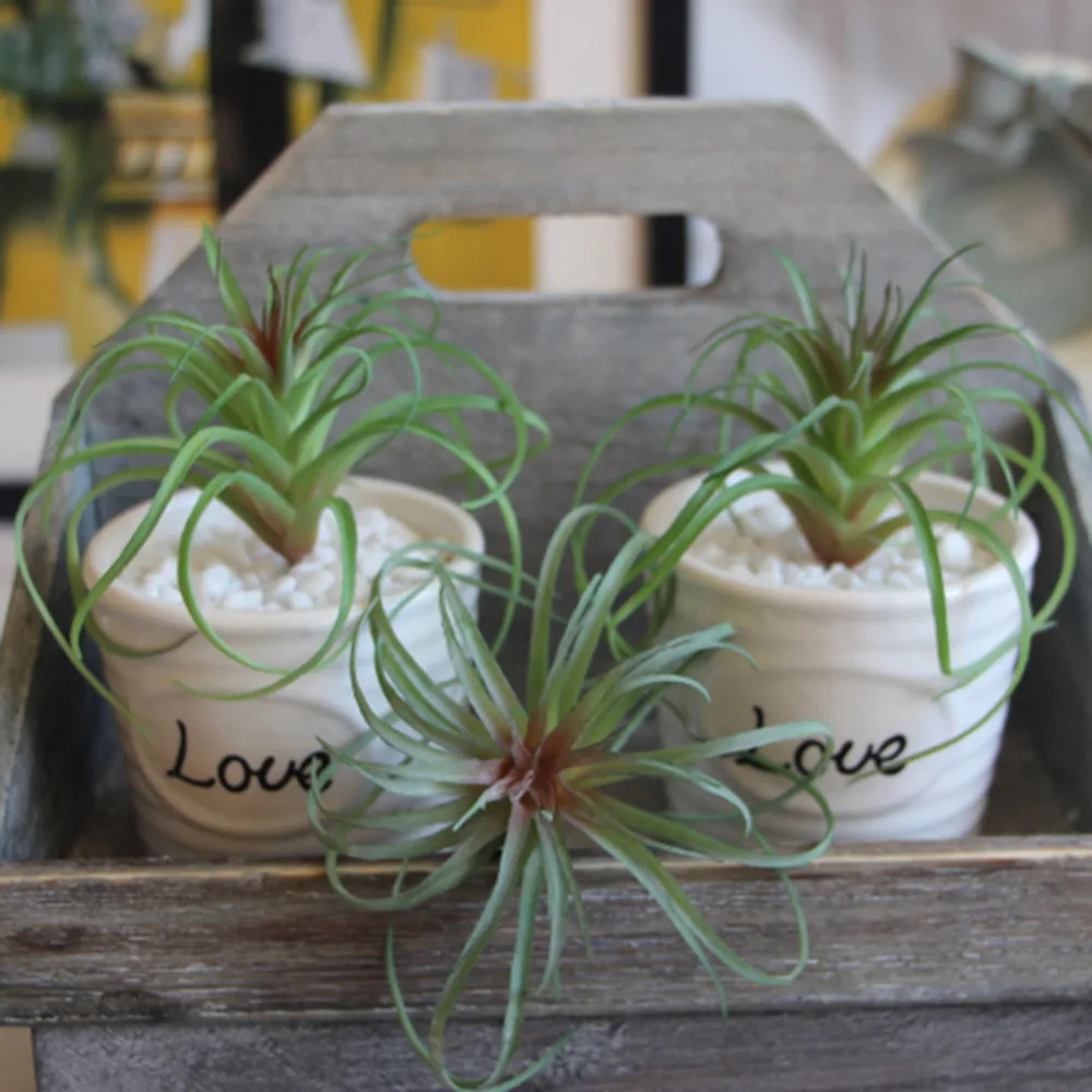 7 видов искусственных суккулентов растения лотоса трава пустыня пейзаж