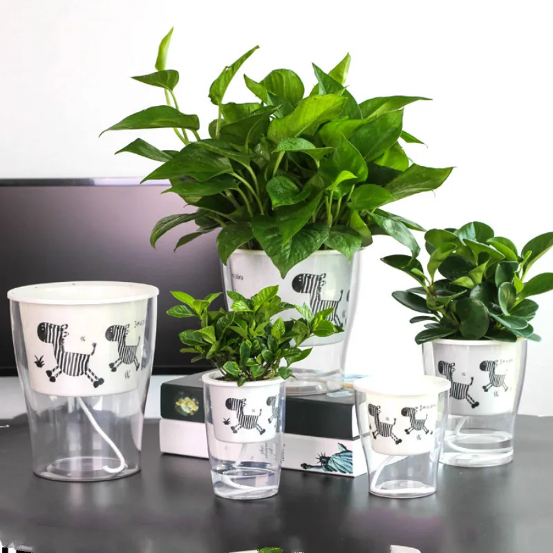 

Transparent Self Watering Planter Flower Pot For Home Garden Decoration Automatic Water Absorbing Flower Pot