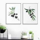 Плакаты и принты с оливковыми ветвями, зелеными растениями, акварельные растения