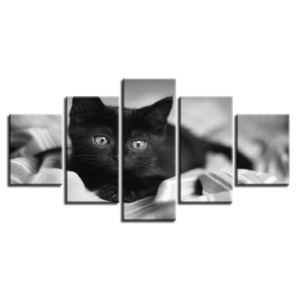 Фоторамка с модульной художественной печатью 5 шт. животные Черный кот постеры