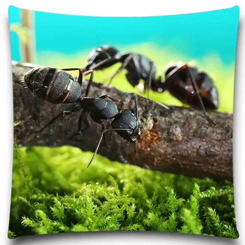 Наволочка из хлопка и полиэстера с изображением черного муравья гриба наволочка