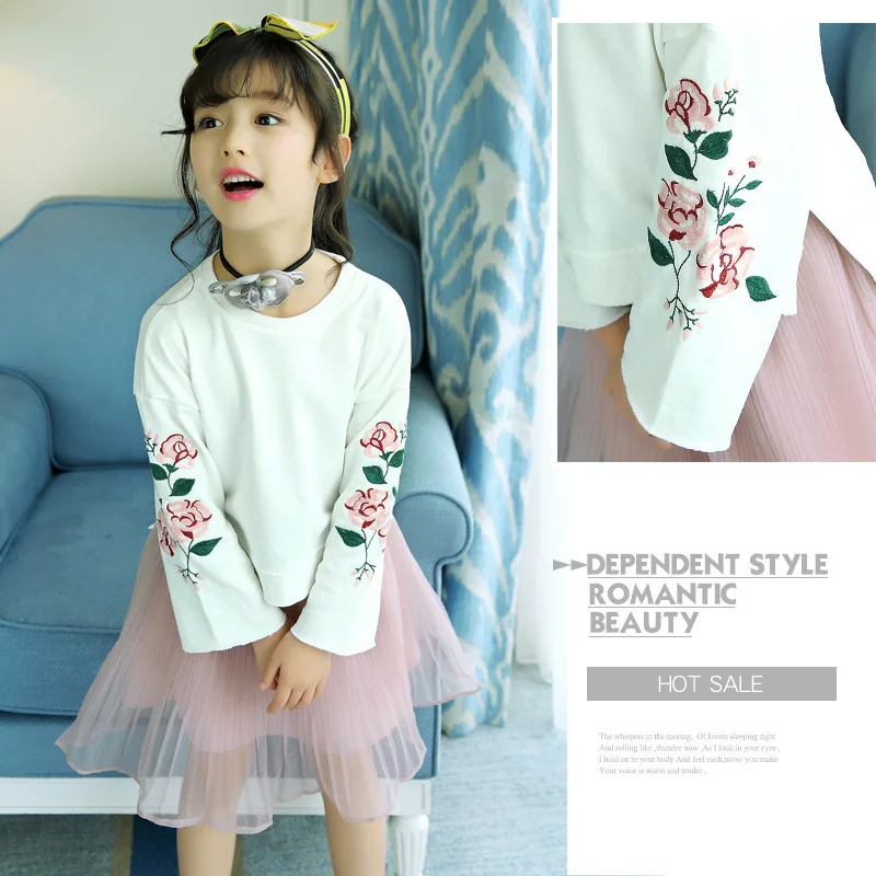 Детская одежда 2017 г. осенний костюм с юбкой розового цвета вышивкой и длинными