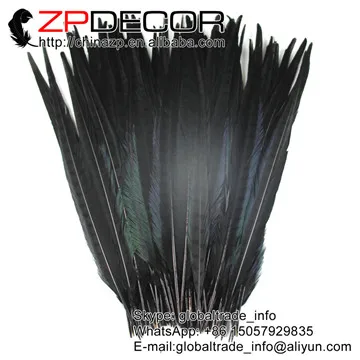 black Zpdecor 100 шт./лот 40-45 см(16-18 дюймов) непосредственно окрашенный оранжевый хвост фазана перья для карнавального костюма украшения - Цвет: black