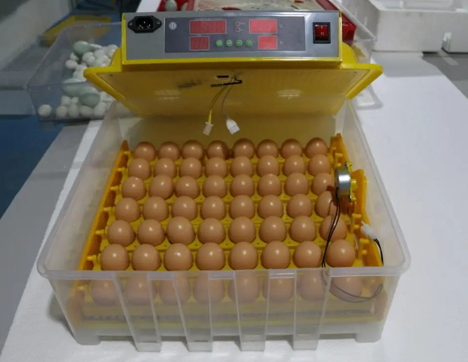 AU Atock ZZ-56 Яйцо Инкубатор Машина С Новым Egg Tray | Дом и сад