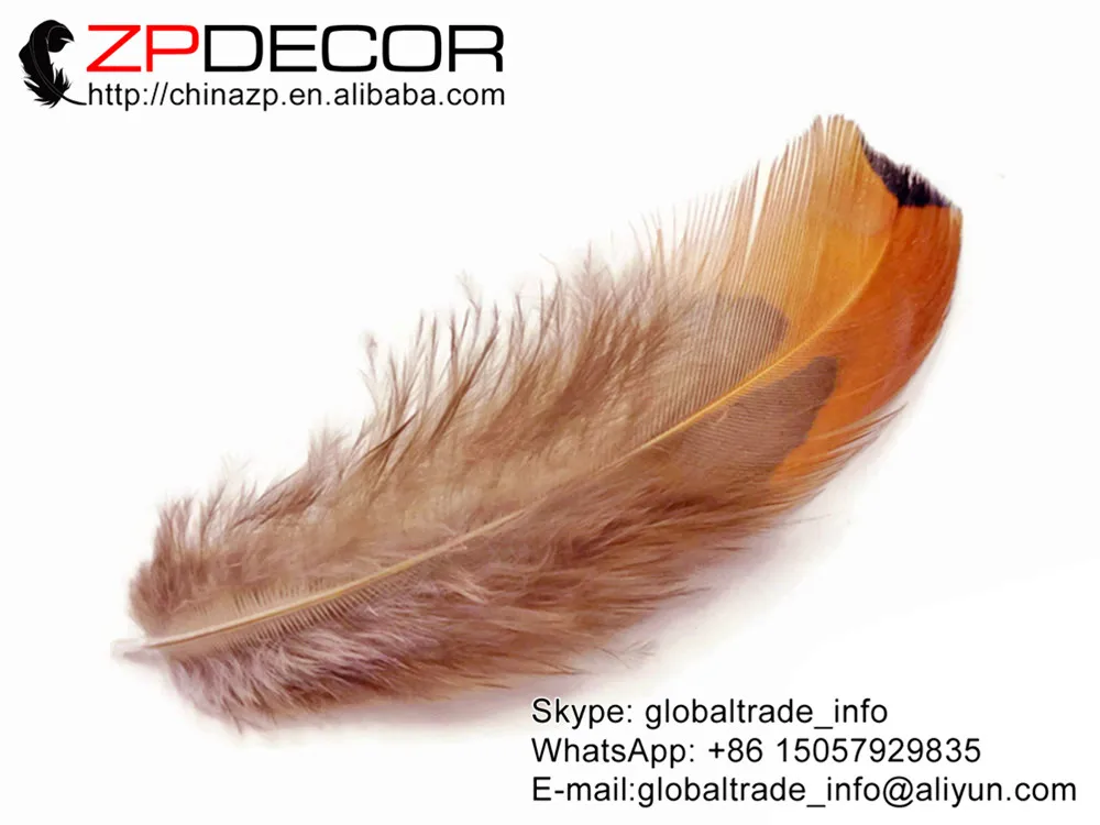 ZPDECOR 6 10 см 200 шт./лот чистое Золотое кольцо на шею оперение фазана свободные перья
