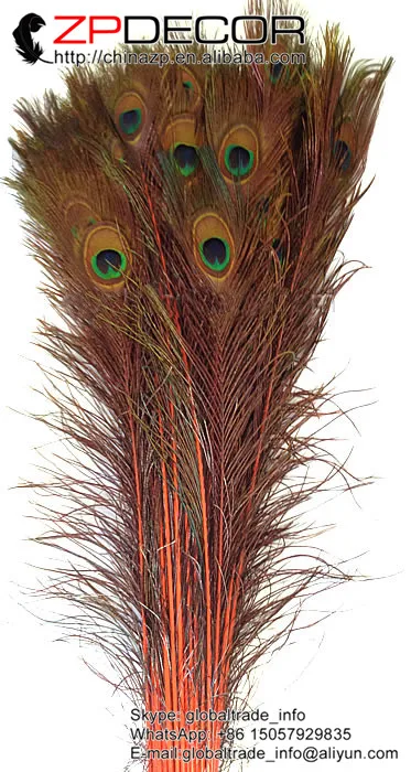 

Manufacturer ZPDECOR Bulk Sale 100pieces/lot 40-45cm(16-18inches) Directly Dyed Orange Peacock Feathers