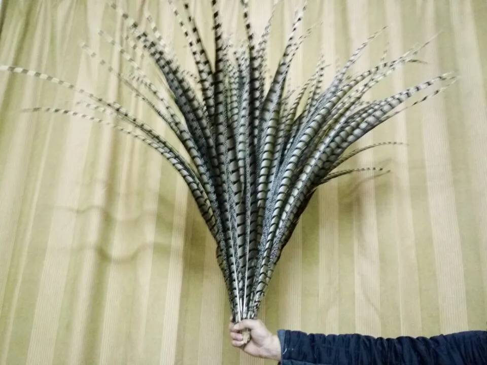 EMS free shipping 200 pieces of high quality natural feather pheasant 32-36 &quot80-90 cm headdress DIY | Дом и сад
