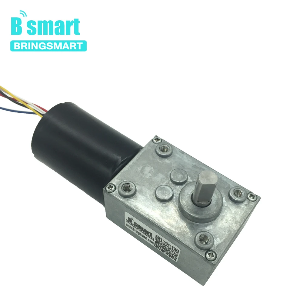 Бесщеточный червячный редуктор постоянного тока Bringsmart 5840 3650 реверсивный