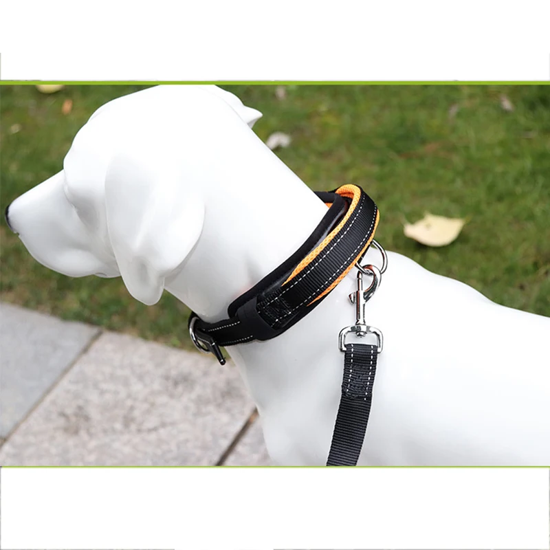 

Venxuis Breathable Protected Pet Dog Collar With Leash Reflective Outdoor Sport Dog Walking Collar Leash Set