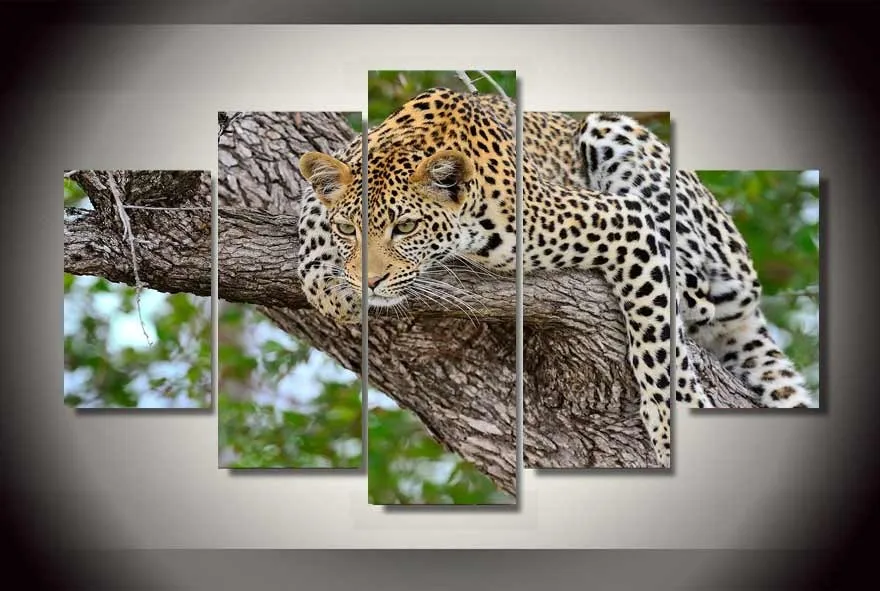 HD печать 5 шт. Холст Искусство Животные животные Современный домашний декор