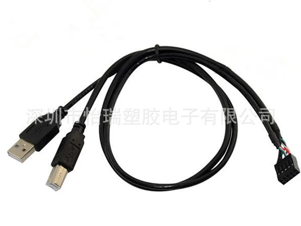 DuPont USB кабель Dual штекерным 10 P шины USB2.0 мужчин + B мужчина/DuPont 2x5pin мать|Соединители| |