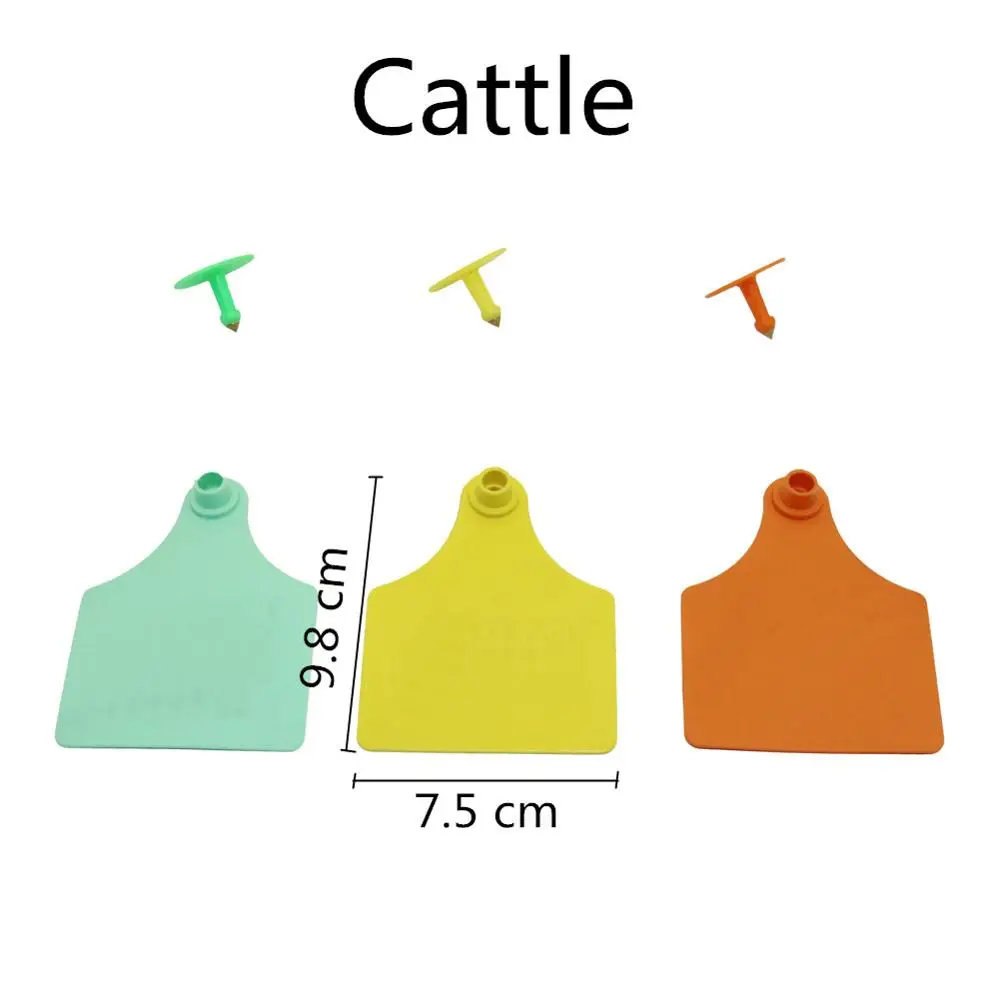 Cattle DIY на заказ, бирка для ушей из овечьей шерсти, лазерная печать, имя, номер телефона, логотип, свинья, крупный рогатый скот, кролик, ферма, животное, Ушная бирка - Цвет: Cattle
