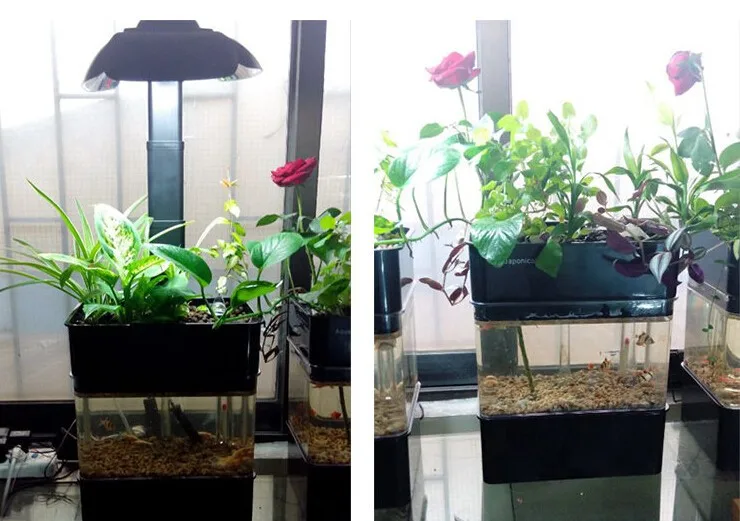 AQUAPONICS аквариум с растениями растущая кровать, полив рециркуляции системы с светодиодный светильник