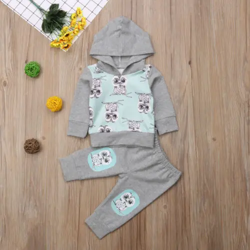 Коллекция 2018 года осенний свитер с капюшоном и длинными рукавами принтом совы