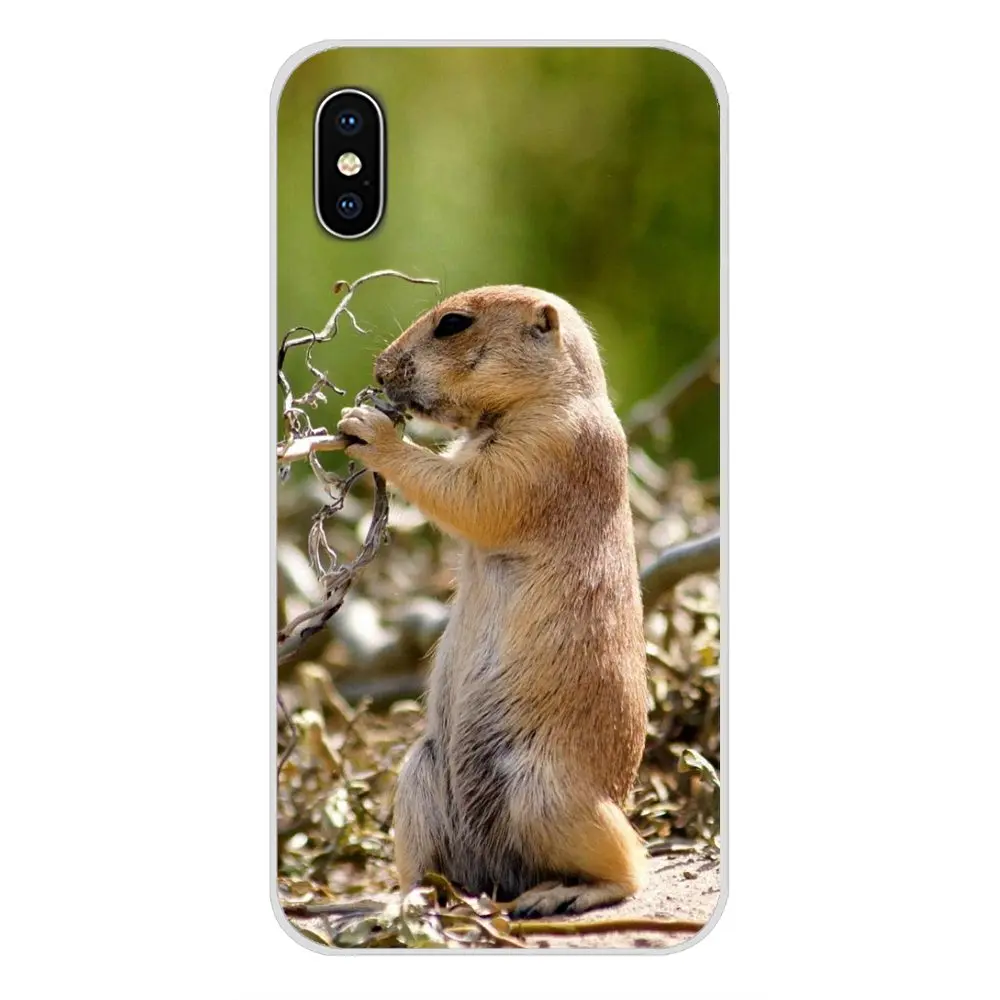 Аксессуары чехлы для телефонов Samsung Galaxy A3 A5 A7 A9 A8 Star A6 Plus 2018 2015 2016 2017 Animal Groundhog |